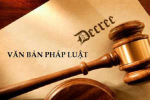  Nghị Định 69/2016/NĐ-CP của chính phủ